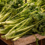 Cime di rapa, non solo con le orecchiette: come cucinare alla perfezione l’ortaggio dell’autunno